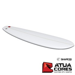 PAIN PRÉ-SHAPÉ SUP FUNBOX 10' RWP