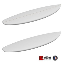 SHORTBOARD 5'11 PERFORMANCE PETITES VAGUES + PACK TISSUS et RESINES
