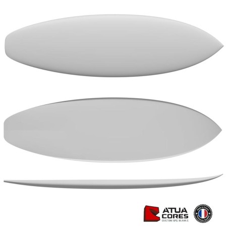 SHORTBOARD 5'11 PERFORMANCE PETITES VAGUES + PACK TISSUS et RESINES