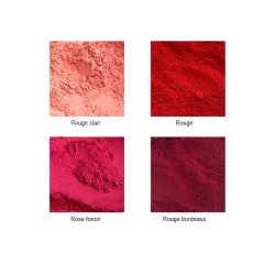 Pâte pigmentaire (colorant) rouge RAL 3020 - 220g