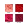 Pâte pigmentaire (colorant) rouge RAL 3020 - 220g