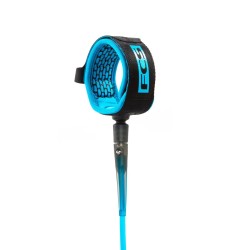 Plug FCS  