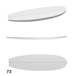 Pains 6'0 SF Shortboard