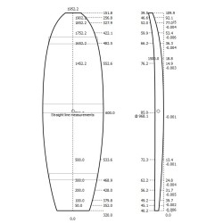 Pains 6'0 SF Shortboard