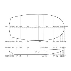 Pains 6'0 SF Shortboard