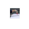 Squeegee / Raclette plastique